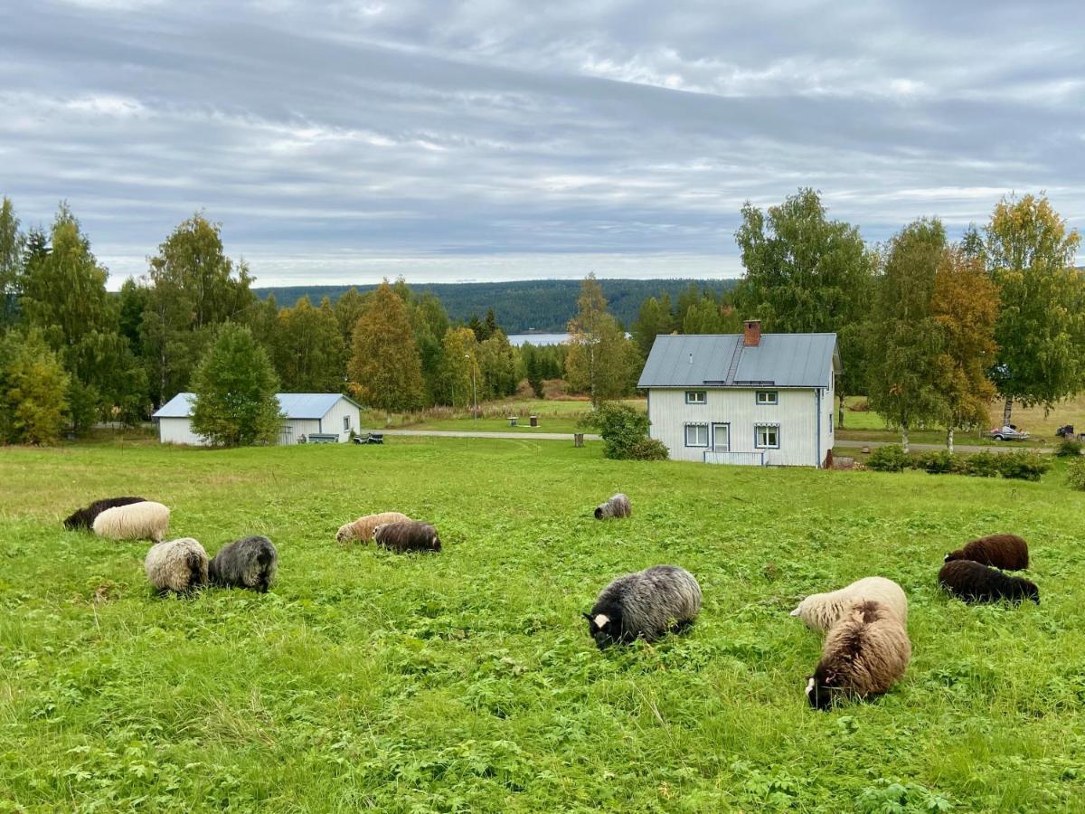 Vildmarksgard Lillviken Стрьосунд Екстер'єр фото