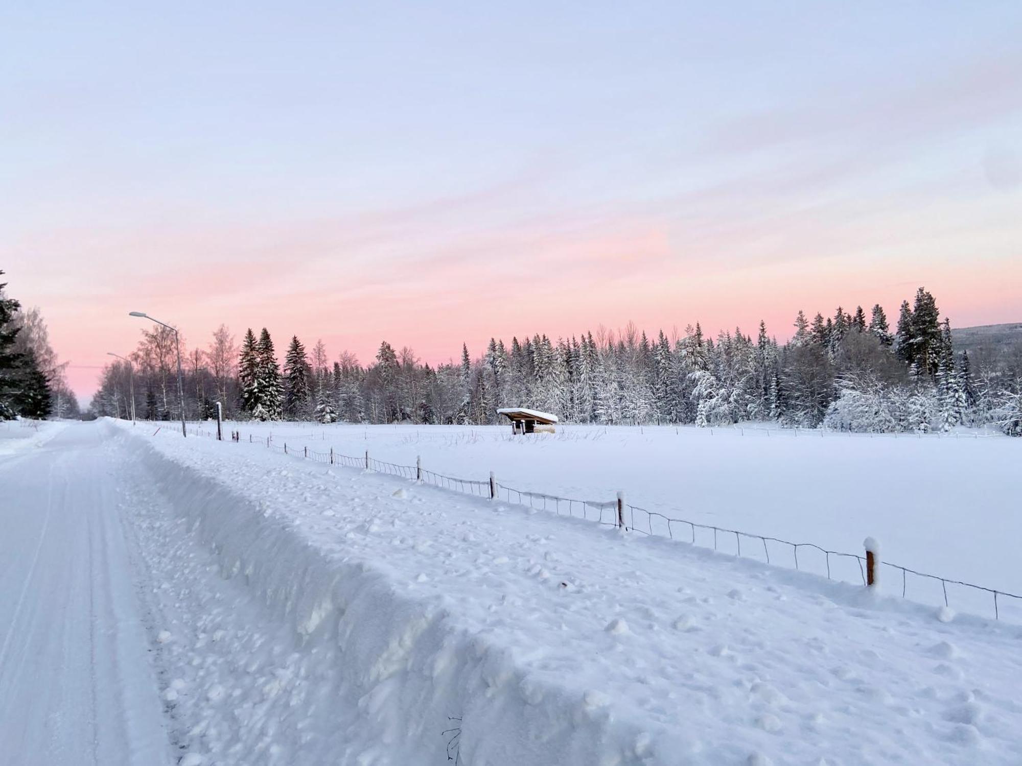 Vildmarksgard Lillviken Стрьосунд Екстер'єр фото